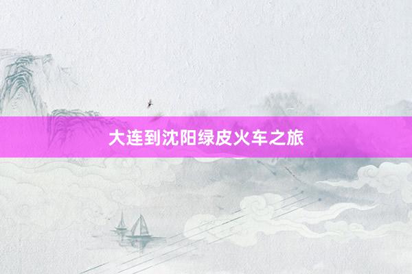 大连到沈阳绿皮火车之旅