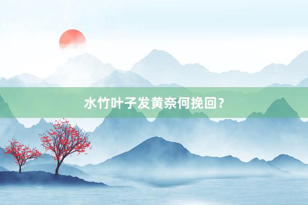 水竹叶子发黄奈何挽回？