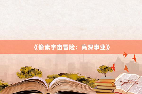 《像素宇宙冒险：高深事业》