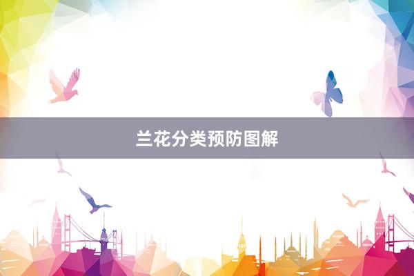 兰花分类预防图解