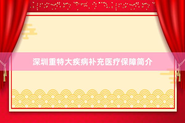 深圳重特大疾病补充医疗保障简介
