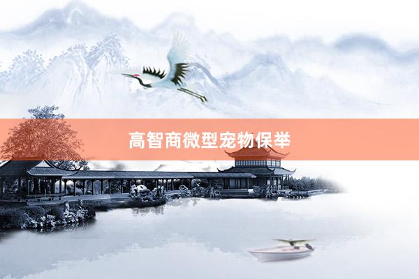 高智商微型宠物保举