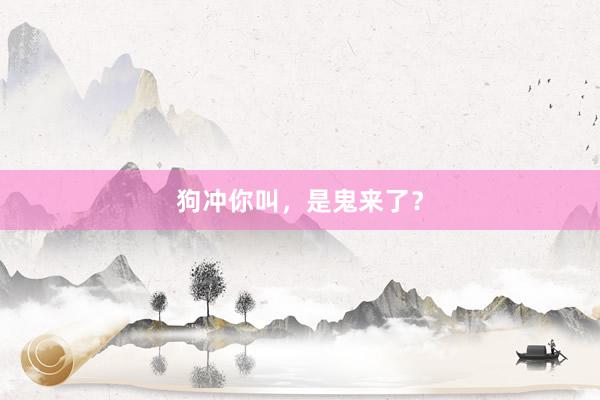 狗冲你叫,是鬼来了?